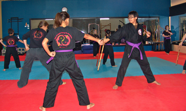 Twin Dragon Kung Fu Academy