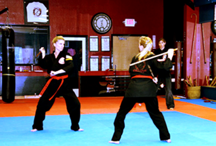 Twin Dragon Kung Fu Academy Programs